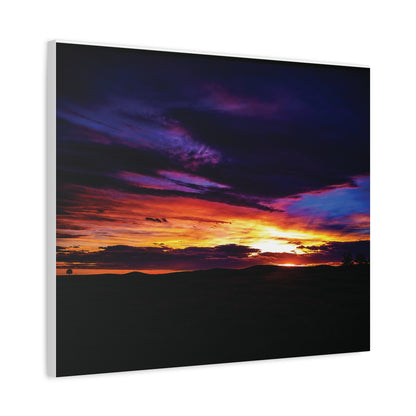 Pasture Sunset Matte Canvas Art