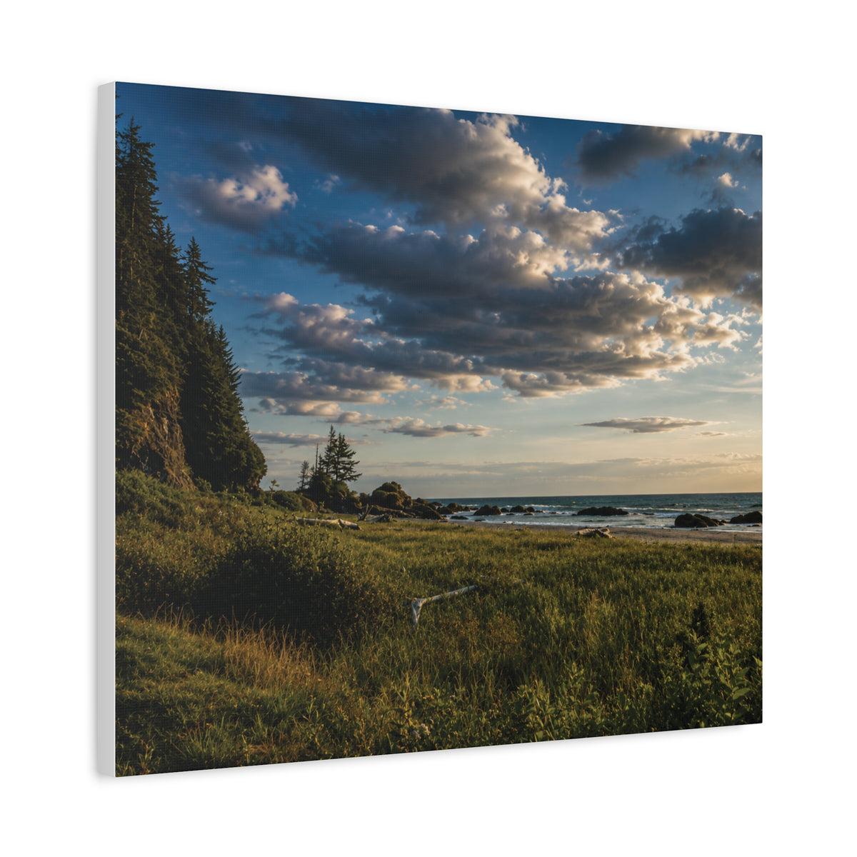 Neah Bay Beach  Matte Canvas Art