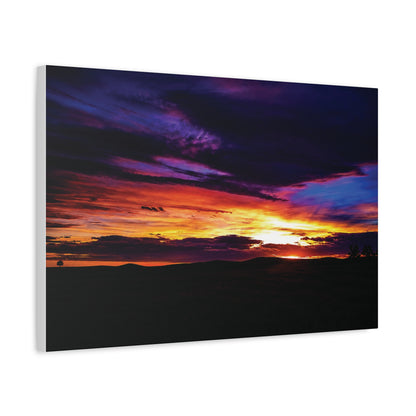 Pasture Sunset Matte Canvas Art