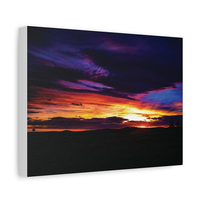 Pasture Sunset Matte Canvas Art