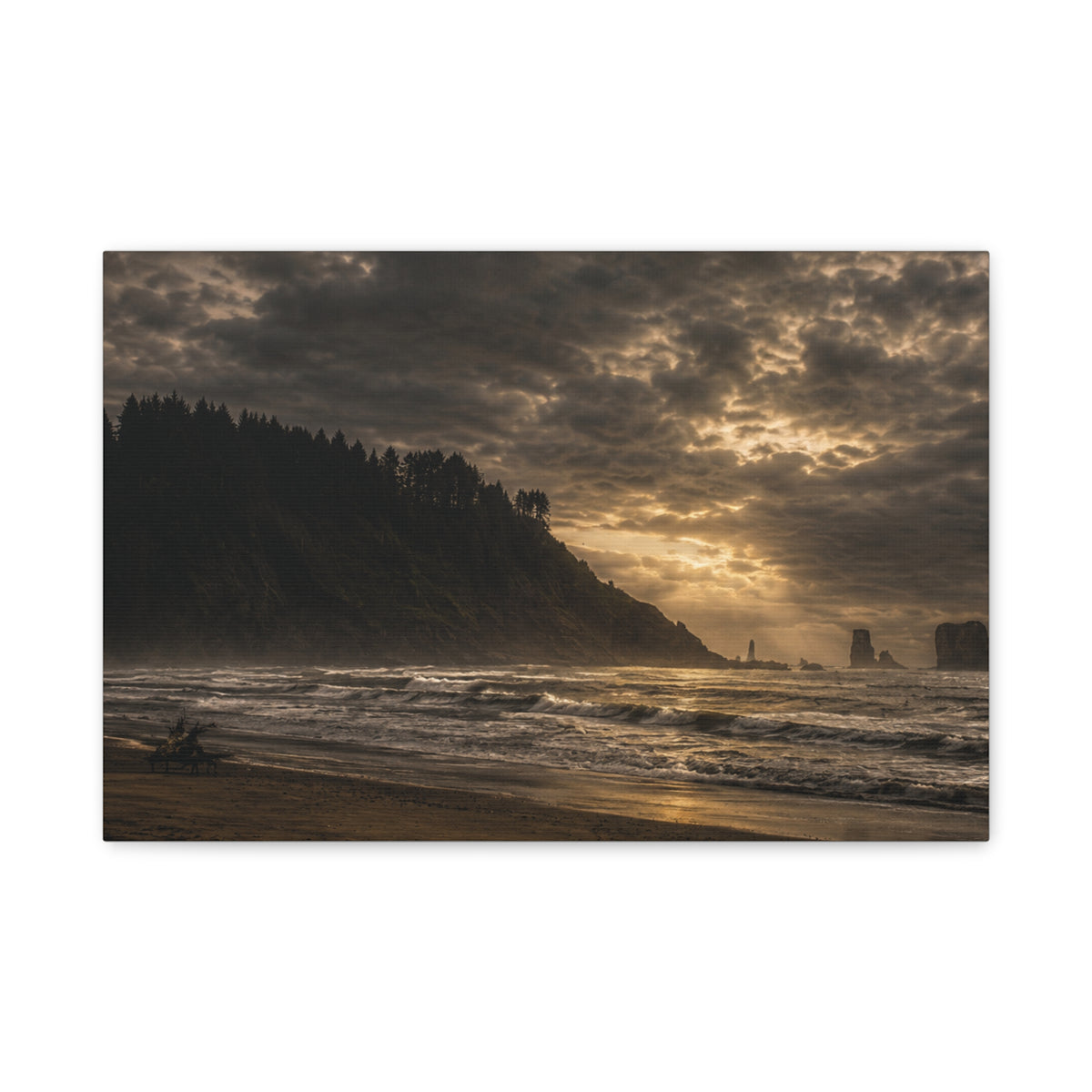 Coastal Beach Morning  Matte Canvas Art