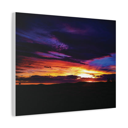 Pasture Sunset Matte Canvas Art