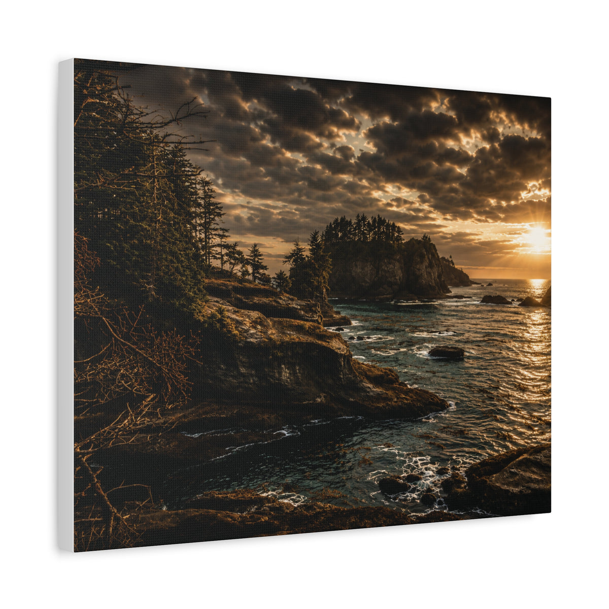 Cape Flattery Evening  Matte Canvas Art