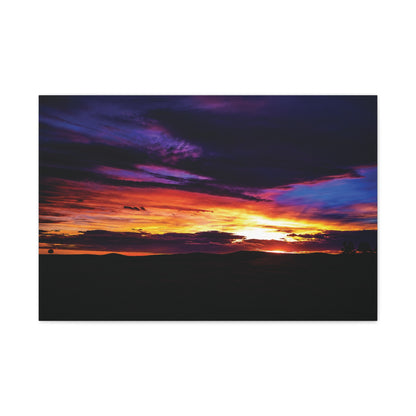 Pasture Sunset Matte Canvas Art