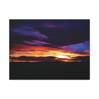 Pasture Sunset Matte Canvas Art