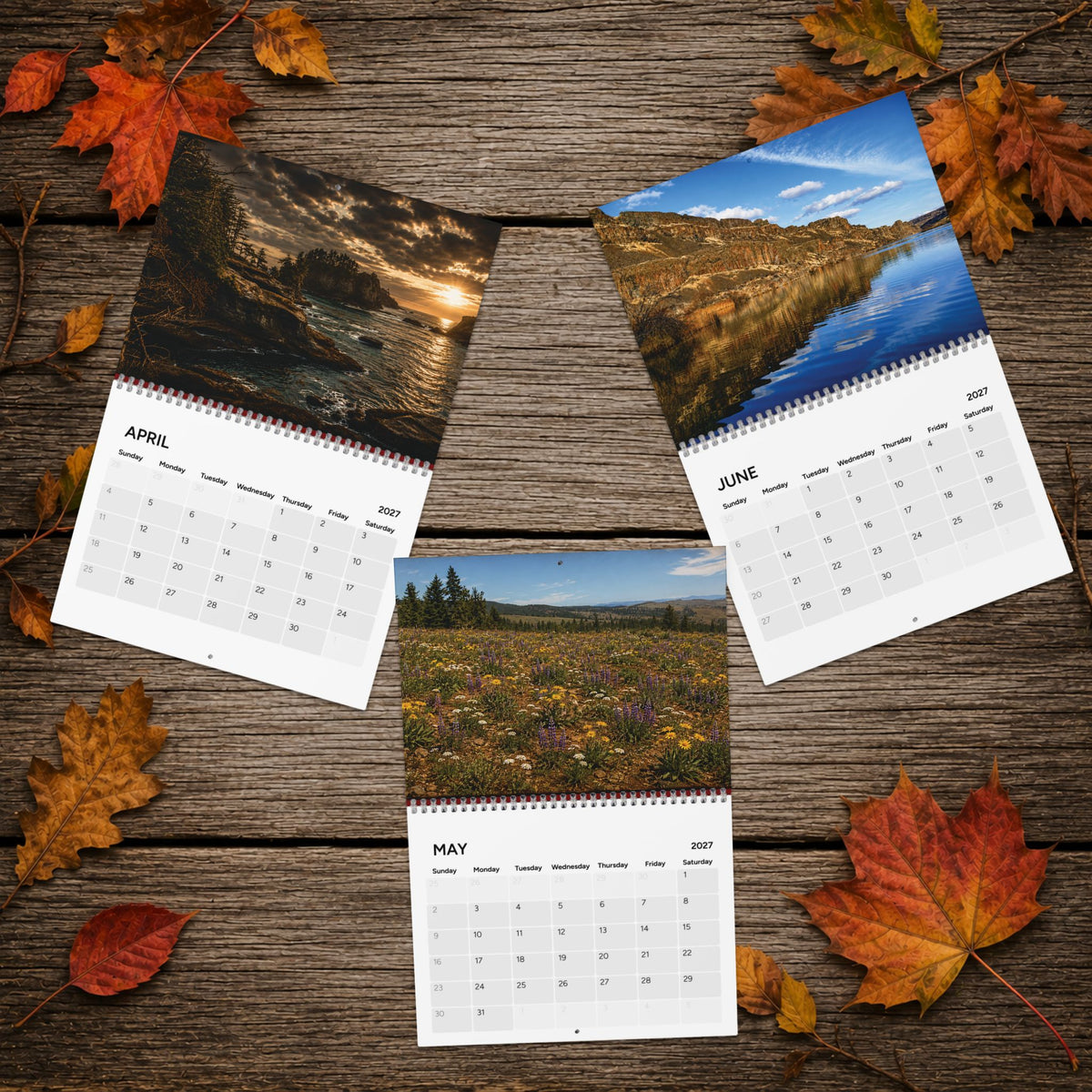 Wall Calendar 2027