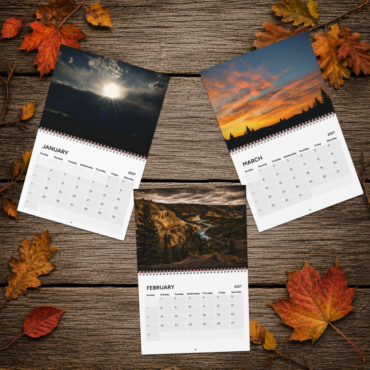 Wall Calendar 2027