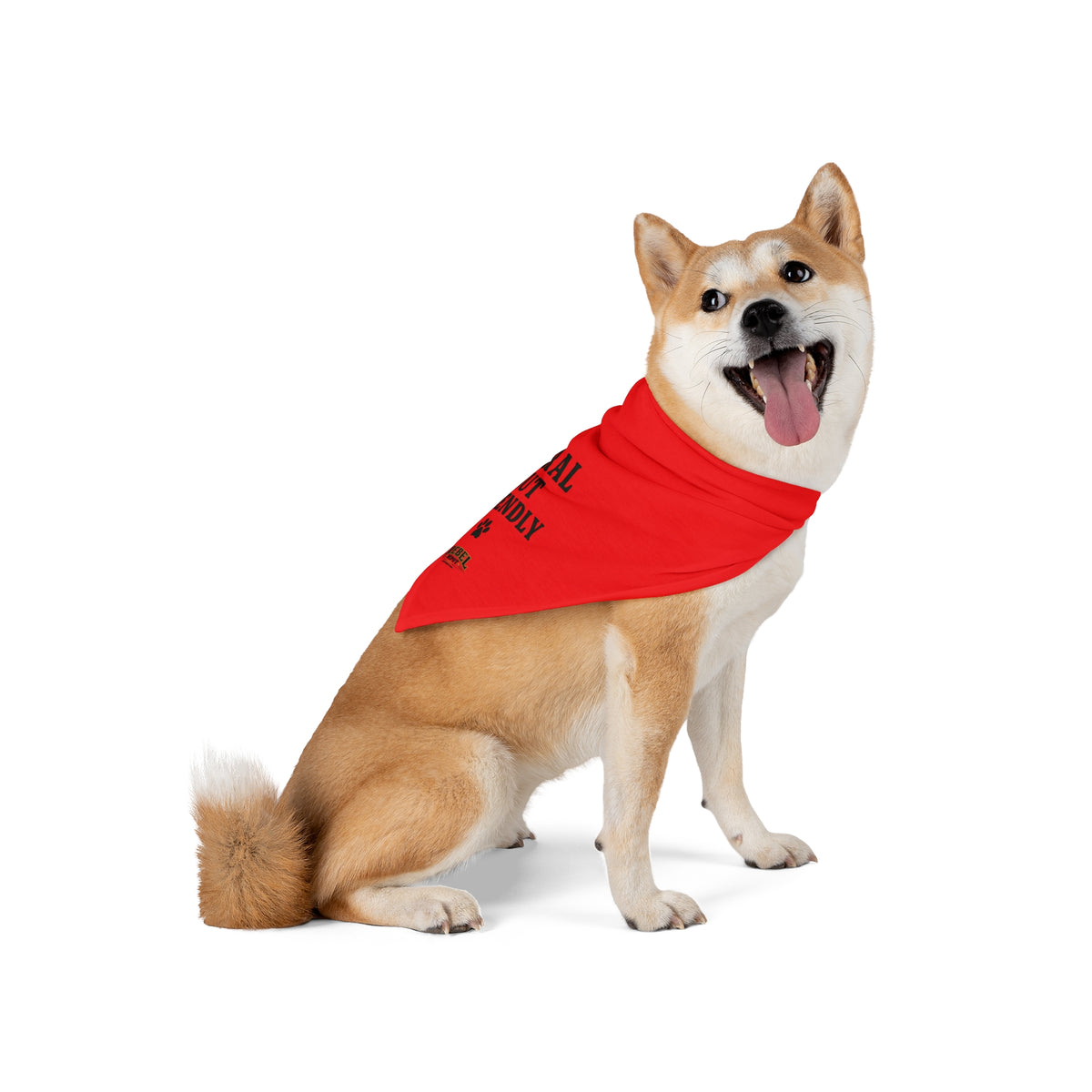 Feral But Friendly  Pet Bandana
