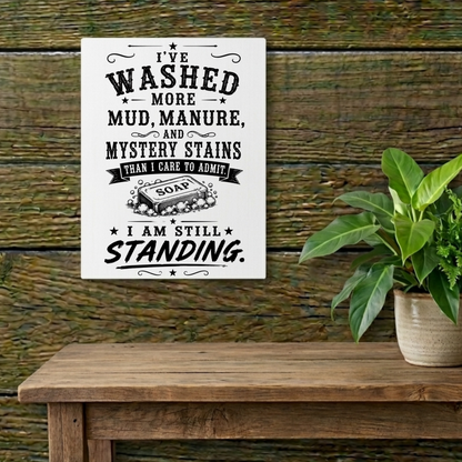 I've Washed  Metal Art Sign